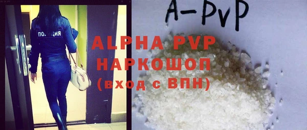 тгк Новодвинск