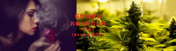 тгк Новодвинск