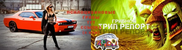 тгк Новодвинск
