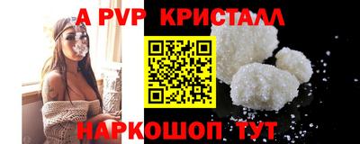 спиды Гай
