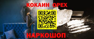 спиды Гай