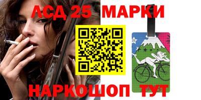 спиды Гай