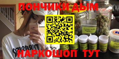 МДПВ Гатчина