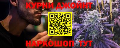 спиды Гай