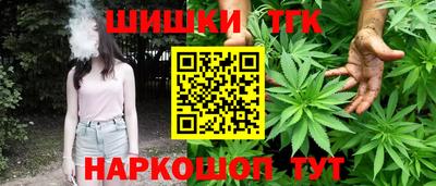 МДПВ Гатчина