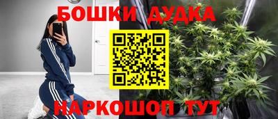 спиды Гай