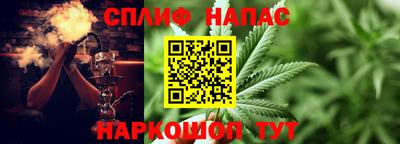 МДПВ Гатчина