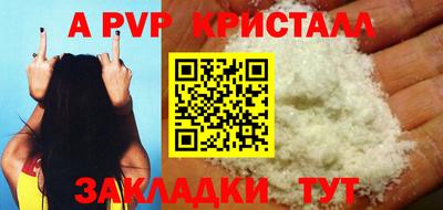 спиды Гай