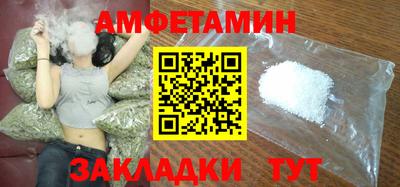 спиды Гай