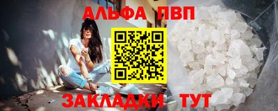 спиды Гай