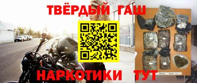 спиды Гай