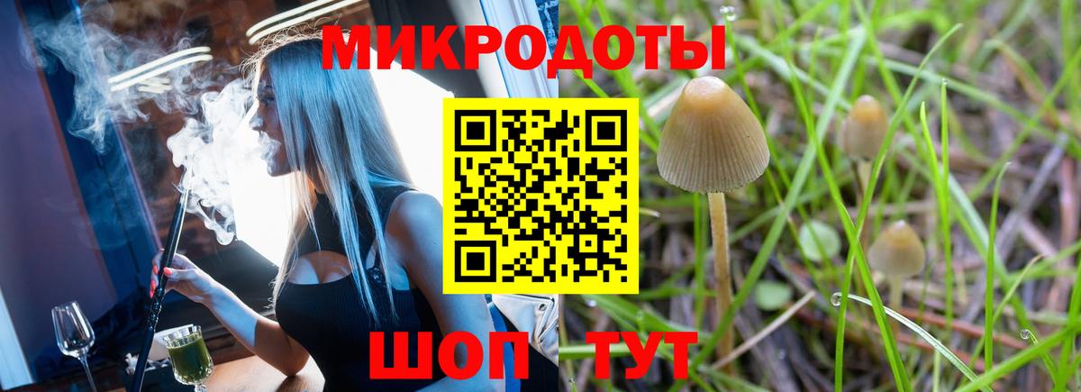 Североуральск  Псилоцибиновые грибы прущие грибы  Галлюциногенные грибы Magic Shrooms  Вход с VPN 